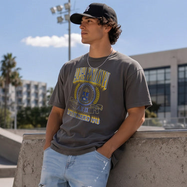 AEPi Collegiate Crest Graphic Tee in charcoal grey featuring bold Alpha Epsilon Pi lettering, fraternity crest, Greek letters, and established year design.