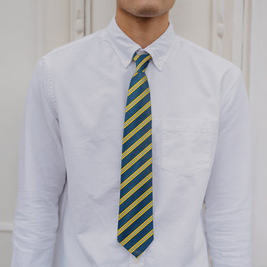 Alpha Epsilon Pi  Blue and Gold Striped Silk Tie.