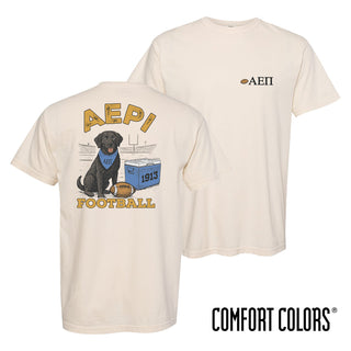 AEPi fraternity t-shirt featuring a black lab in a football stadium