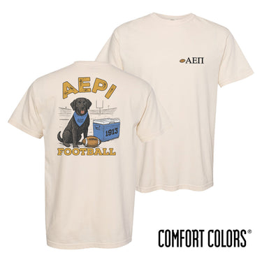 AEPi fraternity t-shirt featuring a black lab in a football stadium