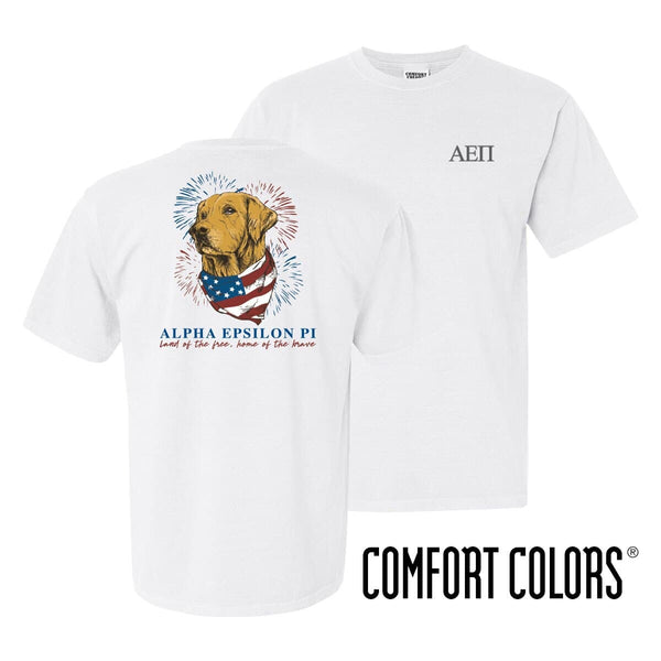 AEPi USA Retriever Tee – AEPi Store