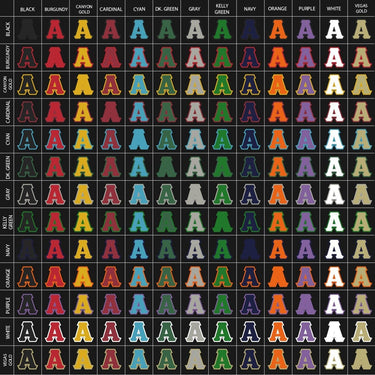 AEPi Pick Your Own Colors Sewn On Hoodie | Alpha Epsilon Pi | Sweatshirts > Hooded sweatshirts