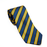 Blue/Gold Neckties Front